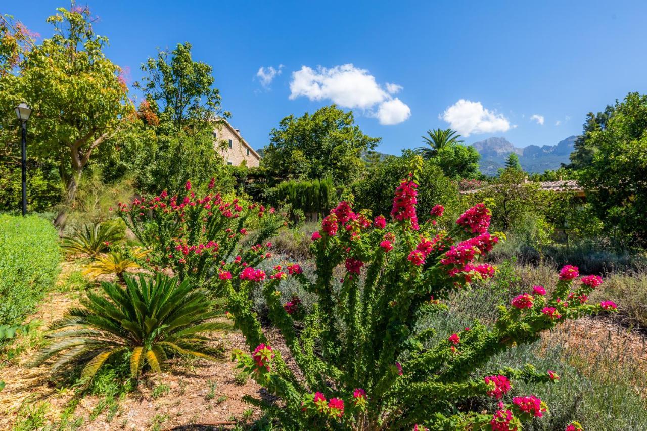 Finca Ca'S Curial - Agroturismo - Adults Only Sóller Екстериор снимка